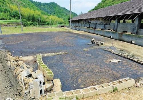 養豬場廢水排放