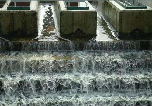 廢水處理活性污泥法1