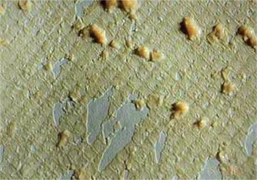 反滲透膜膠體污染