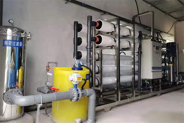 山東單級反滲透純水設(shè)備