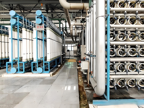 二級反滲透純水機